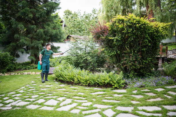 Best Best Pest Control Companies  in Kutztown, PA