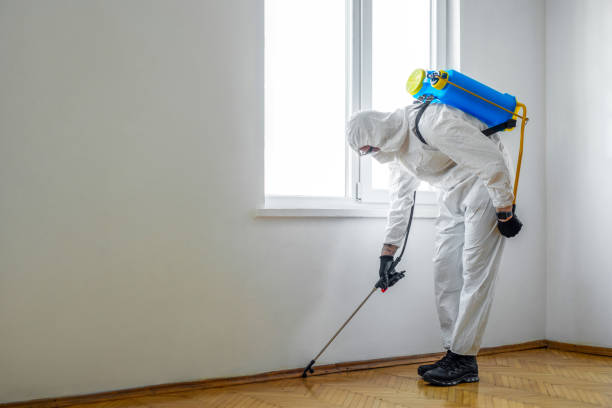 Best Commercial Pest Control Services  in Kutztown, PA