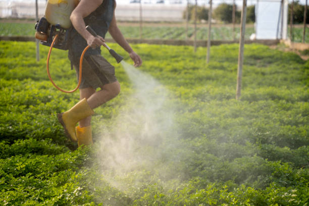 Best Mosquito Control Services  in Kutztown, PA