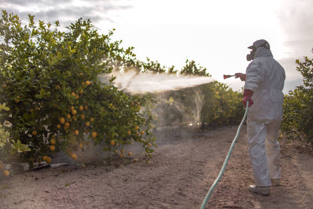 Trusted Kutztown, PA Pest Control Experts