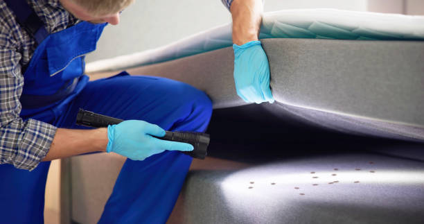 Best Pest Removal Services  in Kutztown, PA