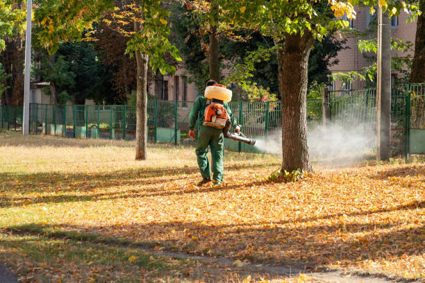 Best Local Pest Control Services  in Kutztown, PA