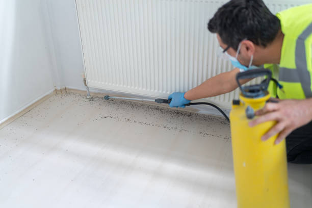 Best Mosquito Control Services  in Kutztown, PA