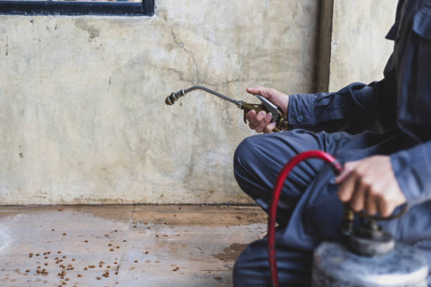 Best Termite Control Services  in Kutztown, PA